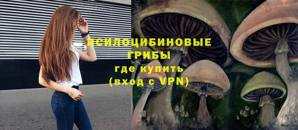 гашиш Заволжск
