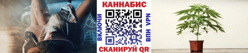 Бошки Шишки гибрид  OMG tor  Игарка 